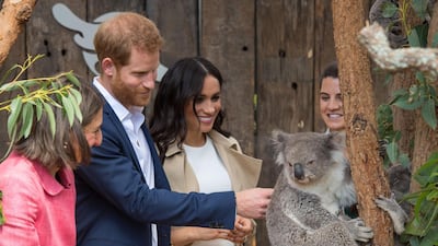 Prince Harry and Meghan, Duchess of Sussex meet a koala during a visit to Taronga Zoo on October 16, 2018 in Sydney, Australia. Getty Images
