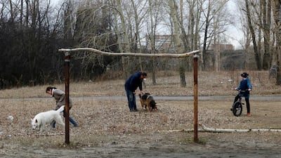 People and dogs walk near a goalpost on the Ostrov Otdykha (the Island of Rest), located in the middle of the Yenisei River in Krasnoyarsk, Russia. Ilya Naymushin / Reuters