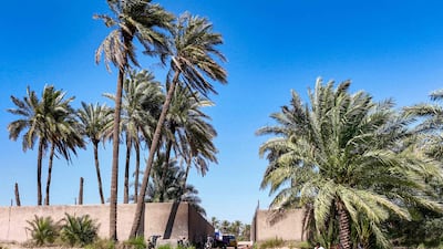 People swim in the Euphrates, east of the Iraqi city of Karbala, amid increasing temperatures. AFP