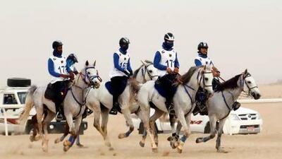 Competitors battle the distance and elements during last year's 120km Dubai Crown Prince Endurance Cup. Martin Dokoupil /Reuters