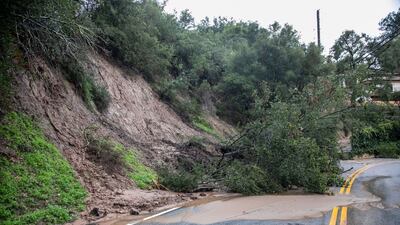 A fallen tree blocks a road after a rainstorm in Montecito. Bloomberg
