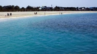Some algal blooms are harmless but other can cause problems, such as this red tide at Jumeirah Beach in Dubai, near the Burj Al Arab, in April 2009, which caused serious damage to fisheries and coral reefs. Jeff Topping / The National