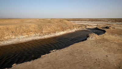 One of last puddles of salty water remaining in the Gavkhouni wetlands, on July 10, 2018. AP Photo