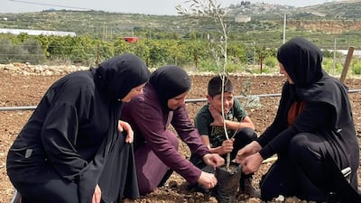 There are more than 75 freedom farms in the West Bank, turning degraded land into something useful and productive and protecting unclaimed or fallow areas from being confiscated by Israel.
