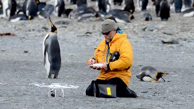 Dr Brent Stewart, a senior research scientist at the Hubbs SeaWorld Research Institute in California, spent a month studying penguin colonies on the Falkland Islands, in South Georgia and the Antarctic Peninsula, with the help of a Dh500,000 grant provided by Ski Dubai at Mall of the Emirates. Courtesy Dr Brent Stewart