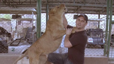 Mr Punton quotes a scientific paper by animal behaviour experts Gail Laule and Tim Desmond that he said supported his training techniques. “It clearly demonstrates that animals prefer to work for their food rather than just being given their food,� he???