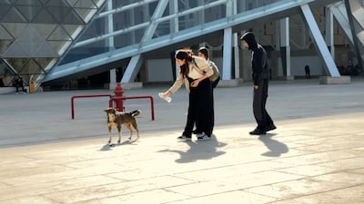 A museum visitor offers a dog a drink. Mohamed Fathi / The National