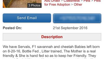 Exotic animals advertised on Dubizzle.