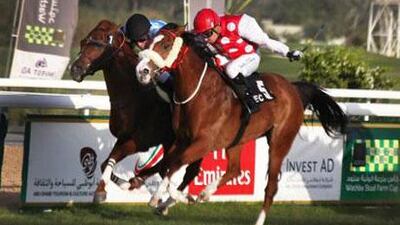 Richlore, right, was the second of four winners jockey Tadhg O'Shea rode at Abu Dhabi Equestrian Club on Sunday night.