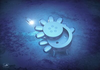 The new station will enable scientists to study migratory habits of animals. Courtesy Fabien Cousteau