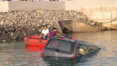 Mr al Booboo just happened to be nearby when a car swerved into the water near Port Zayed.