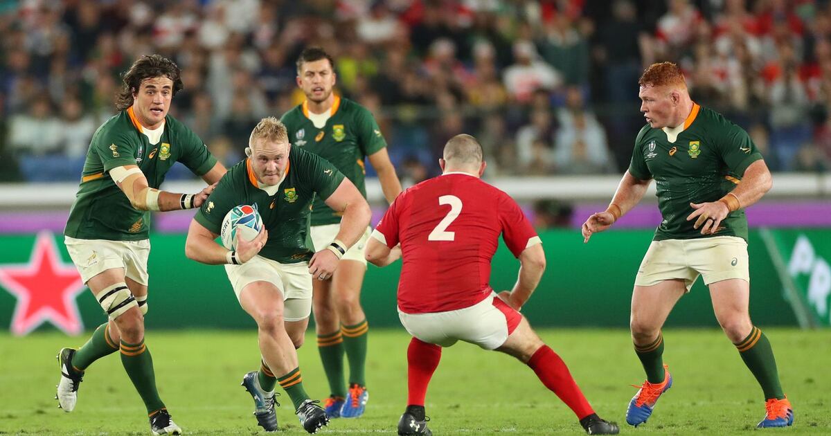 Springboks Rugby Fuf Rugby World Cup: Springboks on course to repeat history, Faf de Klerk ...