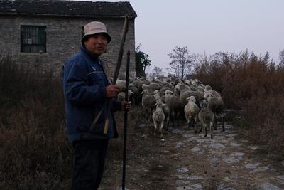 A shepherd in Jincheng, Shanxi province, China. Reuters