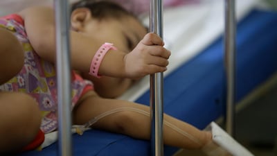 The Philippines has recorded 146,062 cases of dengue from January through July 20 this year.