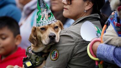 A dog wearing a party hat. Reuters