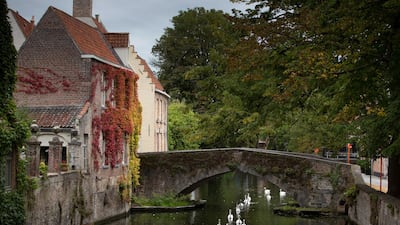 Swans swim under a canal bridge in Bruges, Belgium. AP Photo
