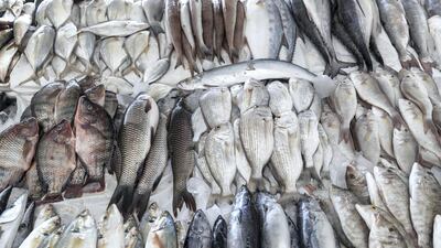 While many fishermen oppose stricter regulations, some are favour of government intervention to replenish fish stocks, which Abu Dhabi saw recent success with