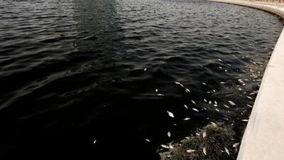 A Pakistani policeman steps down from a wall as smoke billows out from a United Nations building after a suicide blast in Islamabad on Monday.
