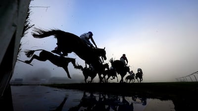 Scientists have found a set of beneficial genes in racehorses that show clear advantages in muscle, metabolism and neurobiology. PA