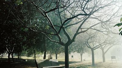 An untitled print by Dhruv Malhotra. Courtesy Photo Ink and the artist