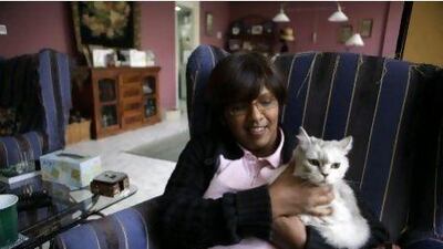 Anita Signorino has three cats of her own. Sammy Dallal / The National