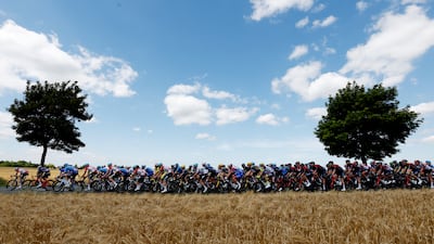 General view of the peloton during Stage 4. Reuters
