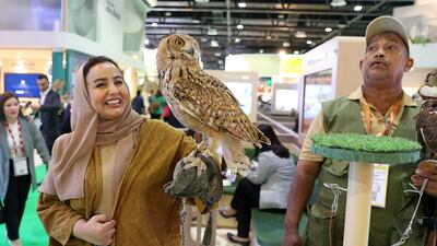 Owls and birds of prey are a big attraction at the Abu Dhabi stand at the Arabian Travel Market. Pawan Singh / The National
