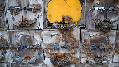 The area’s climate and floral diversity have helped bees and plants thrive. Soudah Development