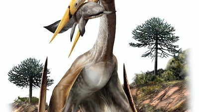 This pterosaur is called Alanqa saharica. Davide Bonadonna