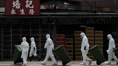 Officials wearing masks and protective suits dispose of culled dead chickens. Philippe Lopez / AFP Photo