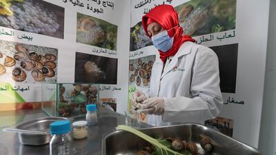 Snail farmer Fadwa Sellami at her farm in the village of Sanhaja, Manouba, north-east Tunisia.