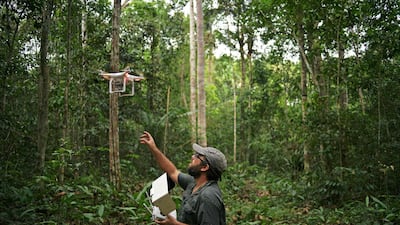 A forestry conservation analyst Felipe Spina Avino of the World Wildlife Fund uses a drone to map an area of rainforest in the Western Amazon. AFP