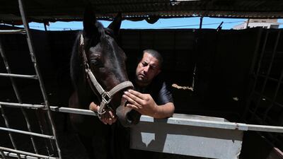Omar Shahin, 40, with one of his horses in Gaza. The animal was among those wounded during the latest conflict between militants in the Palestinian enclave and Israeli forces. Reuters