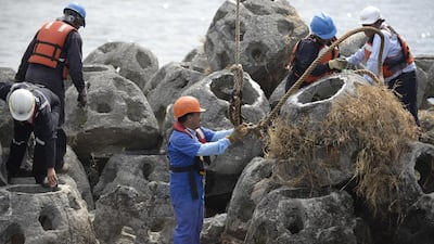 Concrete reef balls at Puerto Quetzal, Guatemala. Laws governing their use in the UAE have been announced. Orlando Estrada / AFP