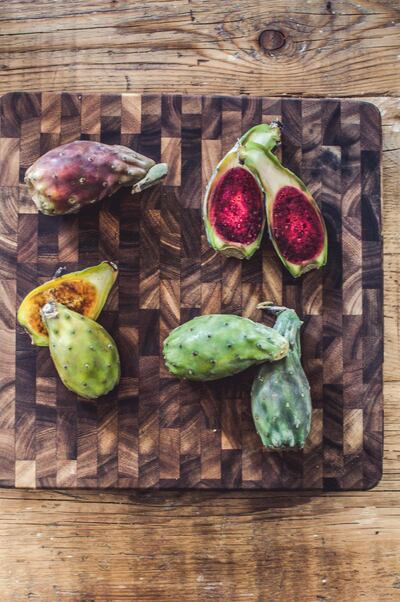 Prickley pear. Photo by Scott Price