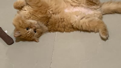 Amy, simply relaxing.