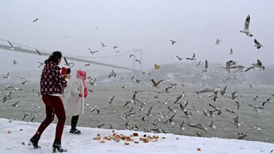 People feed seagulls in front of the Fatih Sultan Mehmet Bridge crossing the Bosphorus river. Tolga Bozoglu / EPA