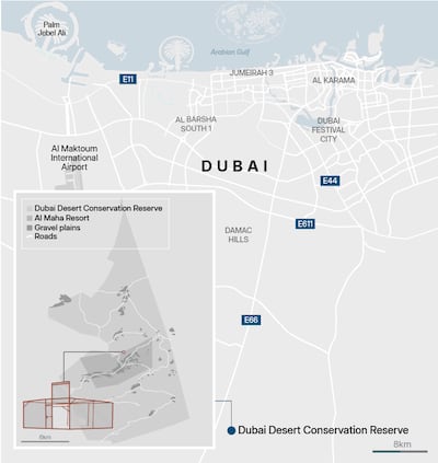 Roy Cooper / The National