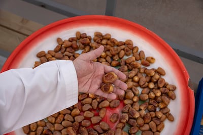 A selection of dates grown at Ahmed AlFalahi's farm. Antonie Robertson / The National