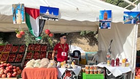 A stall owner waits for customers at the annual pomegranate festival in the Tunisian city of Testour. Ghaya Ben Mbarek / The National