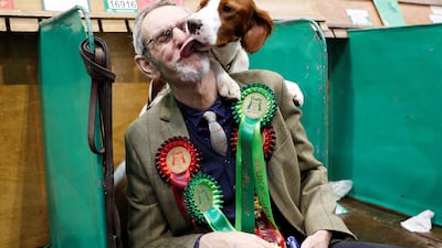 Doreen the Irish Red and White Setter licks owner Graham Bayne during the final day of the Crufts Dog Show. Darren Staples / Reuters