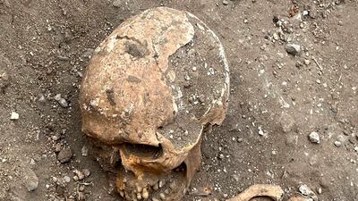 Human remains from the 17th century Portuguese burials. Photo: Tim Power