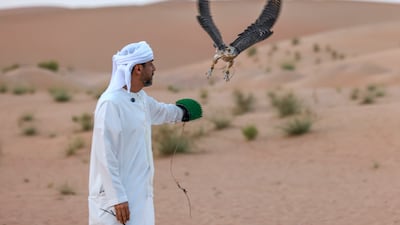 Falconry is a traditional Emirati practice. The season started on October 20 and lasts until January 31