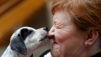 Emma Harper MSP raises awareness of the illegal puppy trade and responsible ownership at a photocall in the Scottish Parliament in Edinburgh, Britain. Reuters