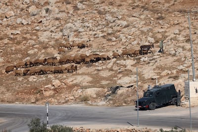 Israeli soldiers watch as a settler leads sheep near the Palestinian village of Al Mughayyir, in the occupied West Bank. EPA