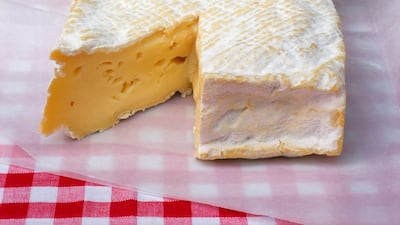 Slices of Pont l'Eveque cheese, one of the oldest Norman cheese still in production. It was originally manufactured in the area of Pont-l'Eveque, between Deauville and Lisieux in Normandy.