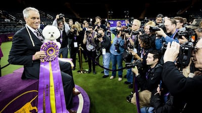 Flynn being held by handler Bill McFadden after winning 'Best In Show'. EPA