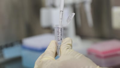 Indian pharmaceutical company Zydus Cadila’s ZyCov-D is among dozens of vaccine candidates being developed globally Courtesy: Zydus Cadila