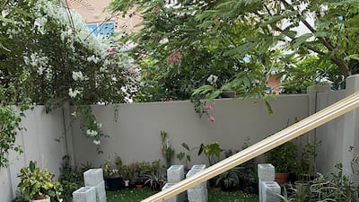 He kept garden expenses to a minimum, using concrete bricks and wooden planks to create a shelf