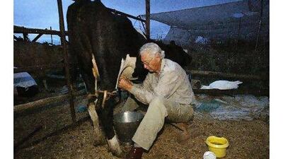Carel Boshoff, the late founder of Orania and son-in-law of the late prime minister Hendrik Verwoerd, the architect of apartheid, milks a cow in the all-white enclave in 2004. Alexander Joe / AFP